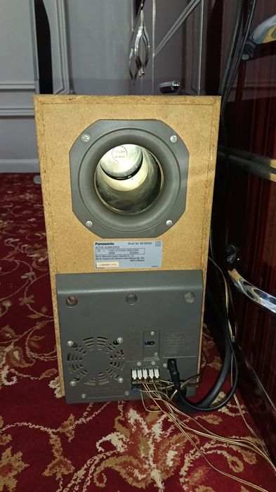 Panasoic muzikalni damashni kinoteatir