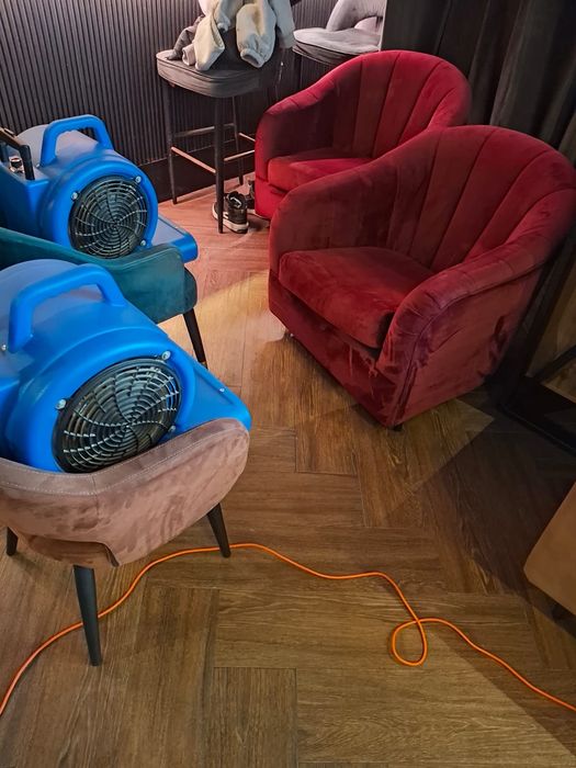 Химчистка мебели и ковров