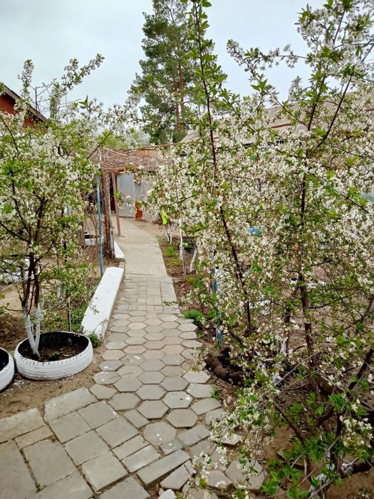 Продам дом 5 комнат частный сектор