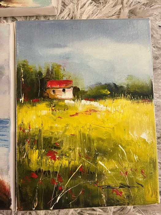 Tablouri pictate in ulei de Sebastian Constantin. Livrare personala.