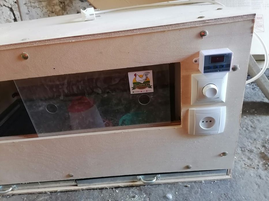 Брудер для цыплят продается