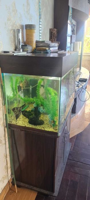 Аквариум 200 литров с тумбой
