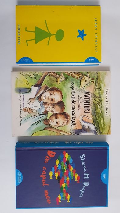 Carte Minecraft Culeger Evaluar Mate Roman Fizica Engle Germ Fran Chim