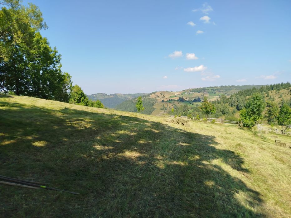 Teren de vânzare Măguri