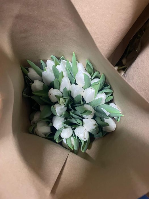 Тюльпаны оптом от 20шт по 500тг