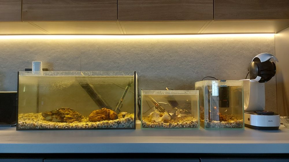 Vand acvariu + accesorii