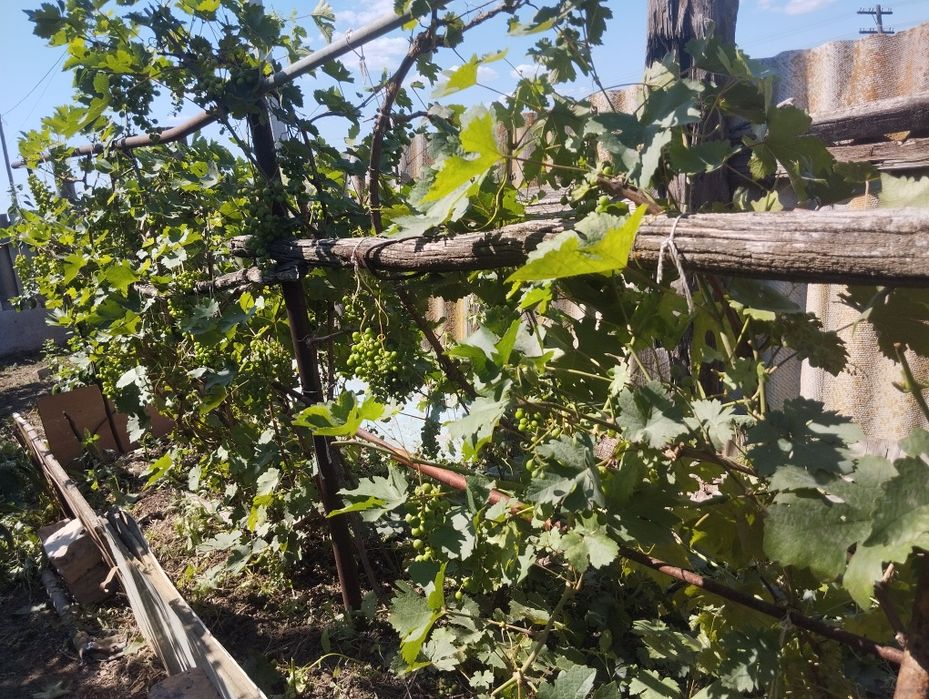 Продам светлый дом.