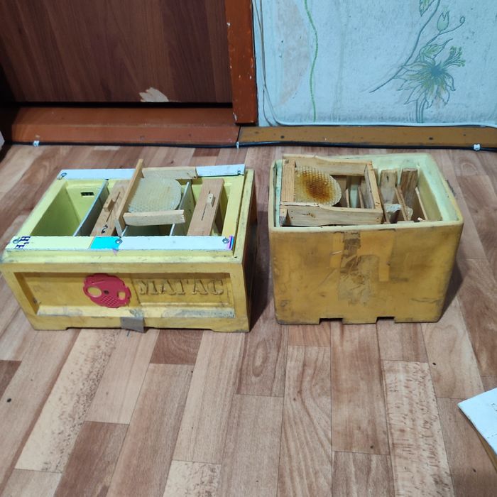 Пчеловодства , Алматы