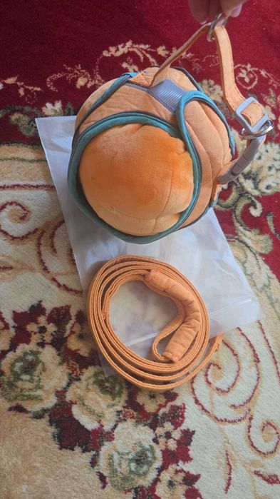 Vand accesorii pisicuta, patutul/lesa pot fi folosite pt catel