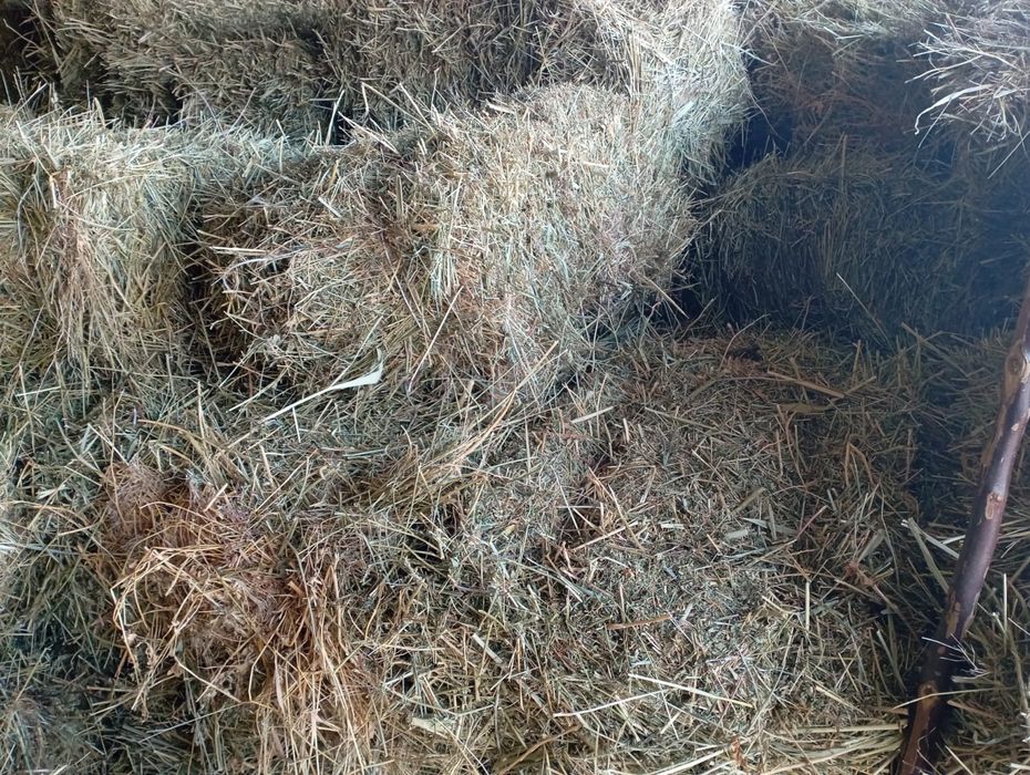 Корма для сельхоз.животных