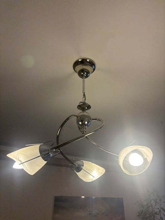 Два броя полилеи