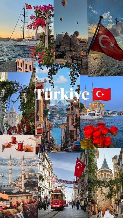 Turk tili kurslari