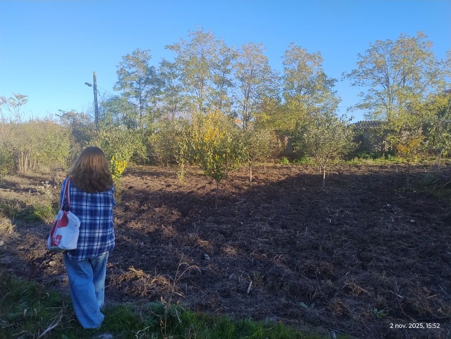 Teren intravilan cu proiect de vânzare în rate!