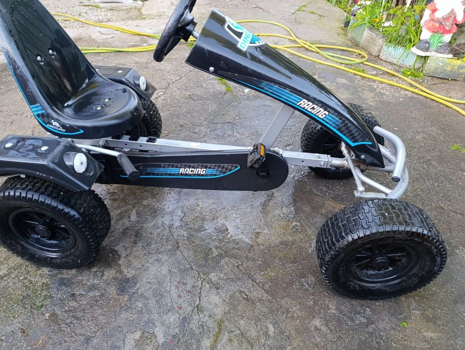 Vind cart DINO CARS coii/adulti