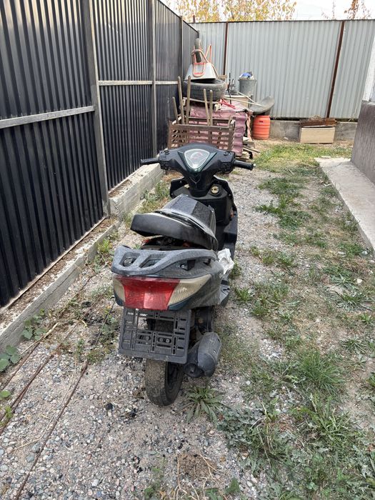 Продам мопед M10
