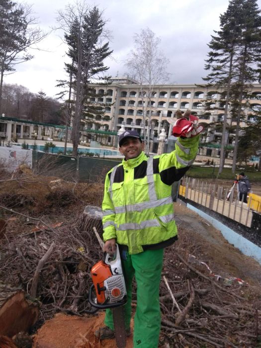 Рязане на високи опасни дървета косене на тревни площи
