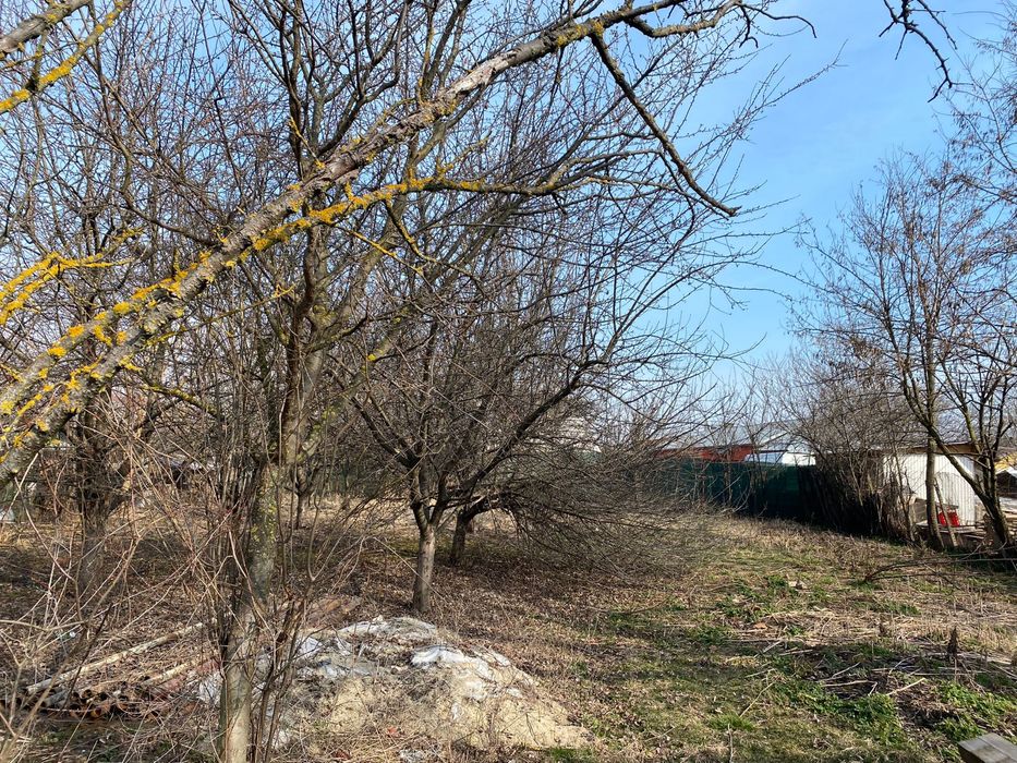 Teren Comuna Tunari Centru