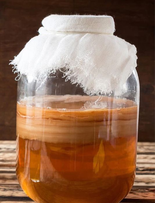 Чайный гриб - Комбуча