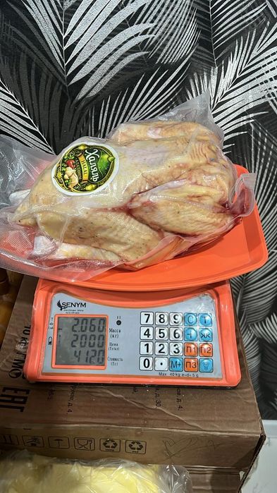 Бройлеры домашние