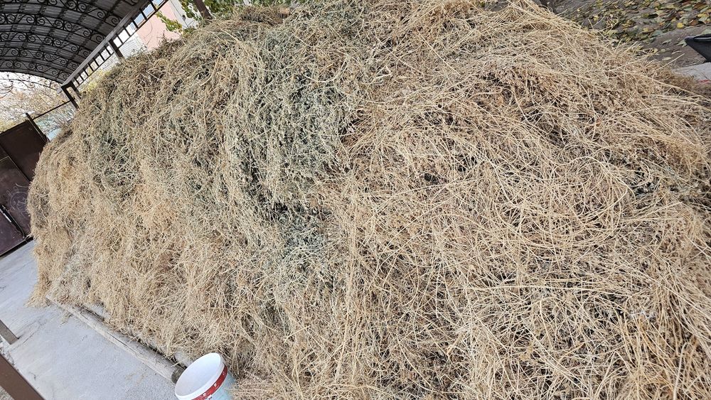 Шөп бар келісеміз