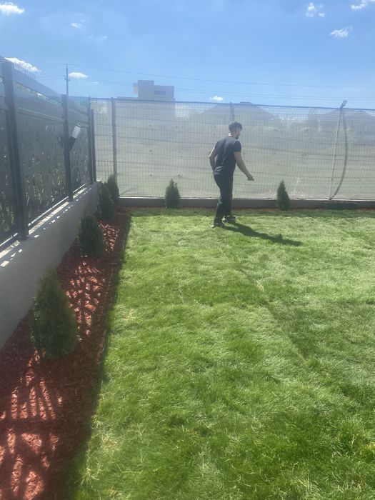 Gazon rulou supersport