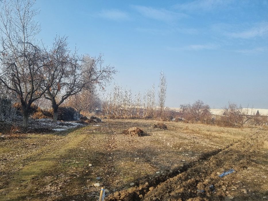 1300$ dan 10sotix chek