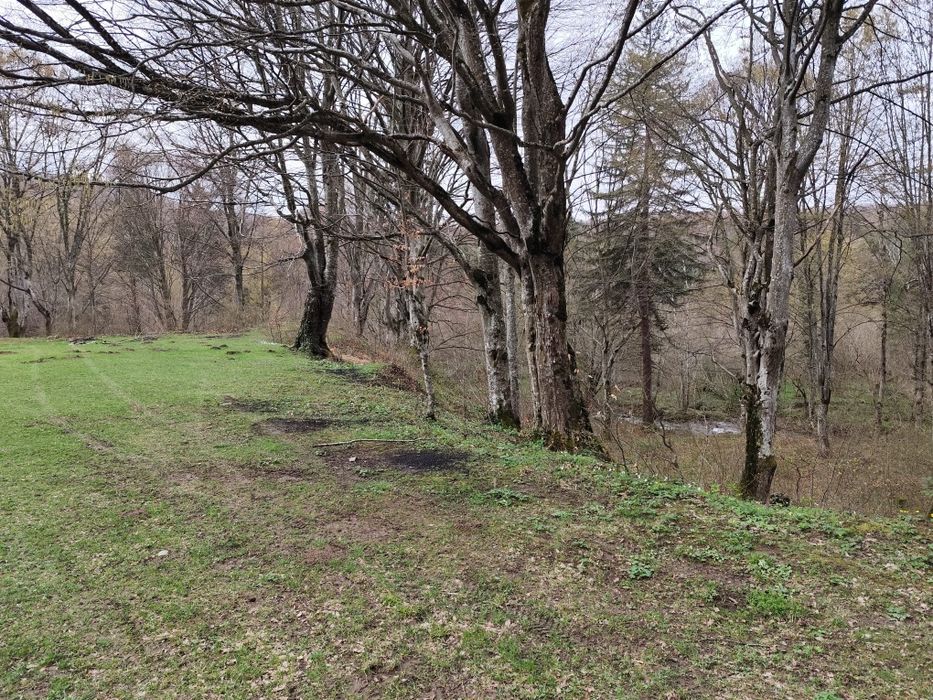 Vand Teren Valea Avrig