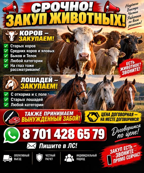Продам мяса любой