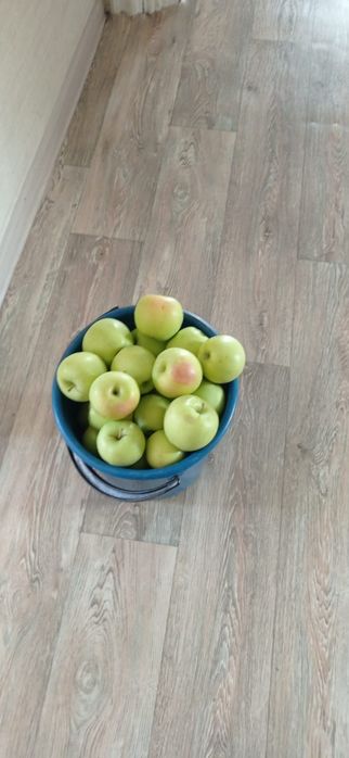 Продам Виноград, яблоки
