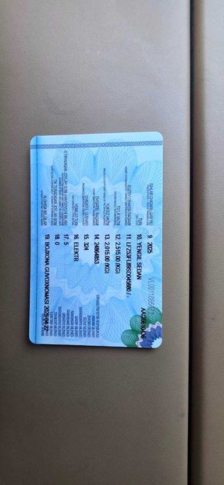 Leap motor C 01  Smart Full 316km