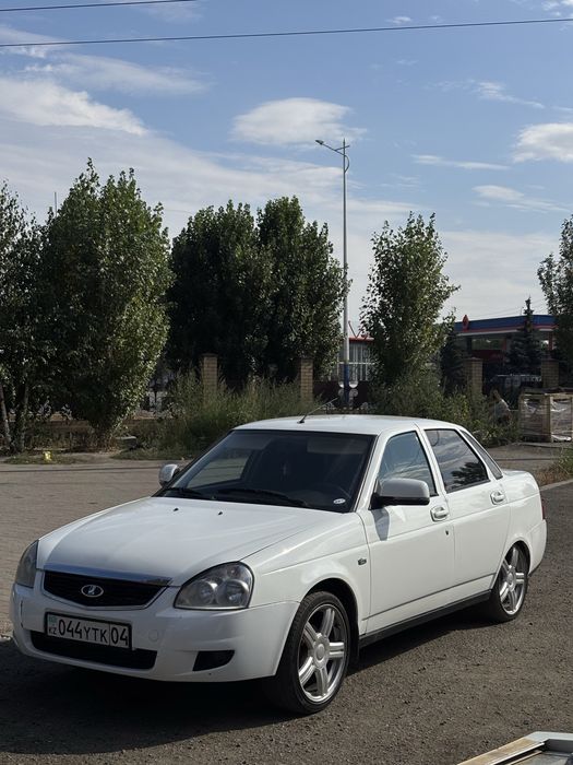 продсм торусы р17