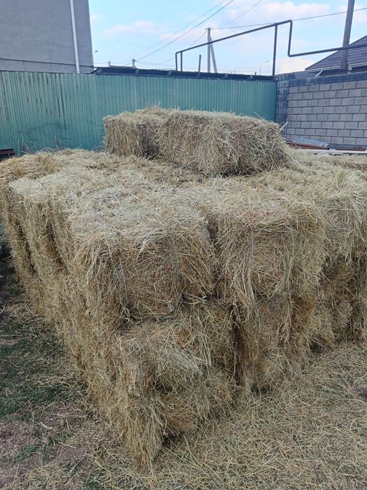 Қырдың майда шоп 1300 тенге