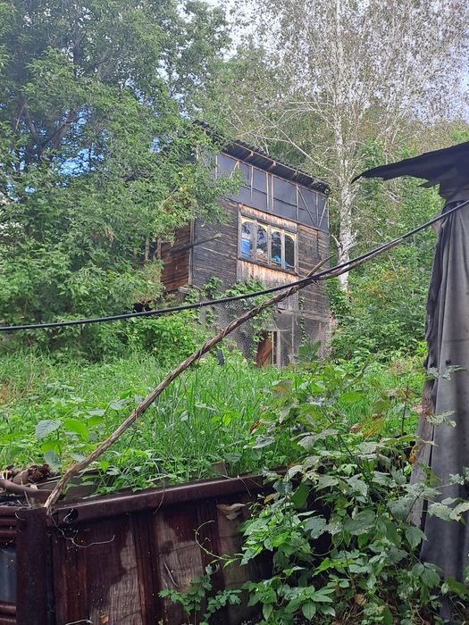 Продам пасеку дачу