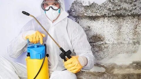 Dezinfeksiya,Dizenfeksiya xasharot suvarak tarakan sichqon kalamush