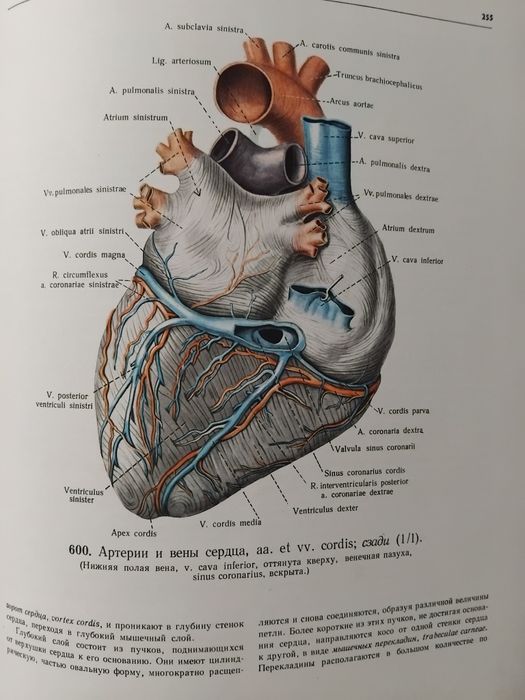Атлас анатомии человека. Том 1-3
Р. Д. Синельников