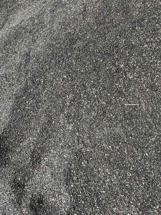 Vand 400 t Floarea soarelui