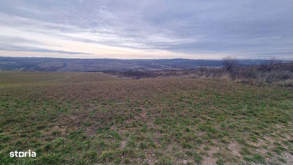 Teren de vanzare Paleu