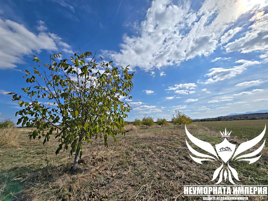 Продавам орехово градина 6650кв.м. в село Козаново