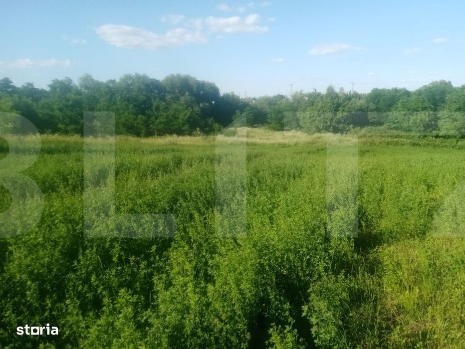Braesti,jjud Botosani 3700 mp teren intravilan