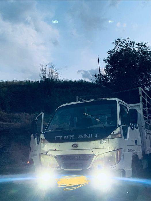 Forland 2010года