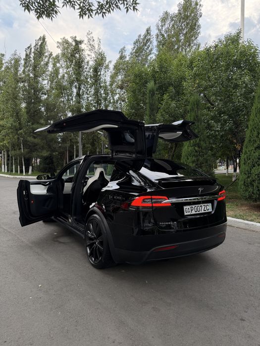 Tesla Model X Perfomance Duall Motor
