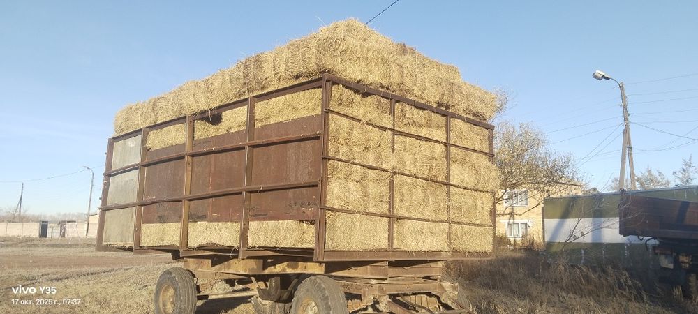 Сено тюках 800тг