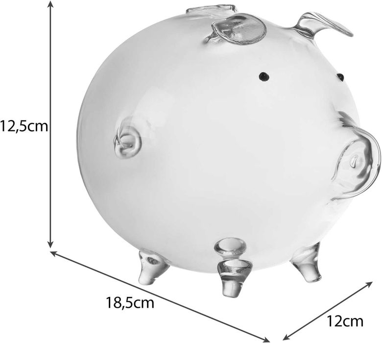 Pusculita din Sticla Transparenta pentru Copii si Adulti 12.5x18x12cm