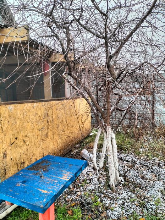 Продам дачу СО "Пригородное"