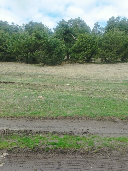 Продава се Земеделски имот в Батак -  кв.м за 22 €/дка - Снимка #2