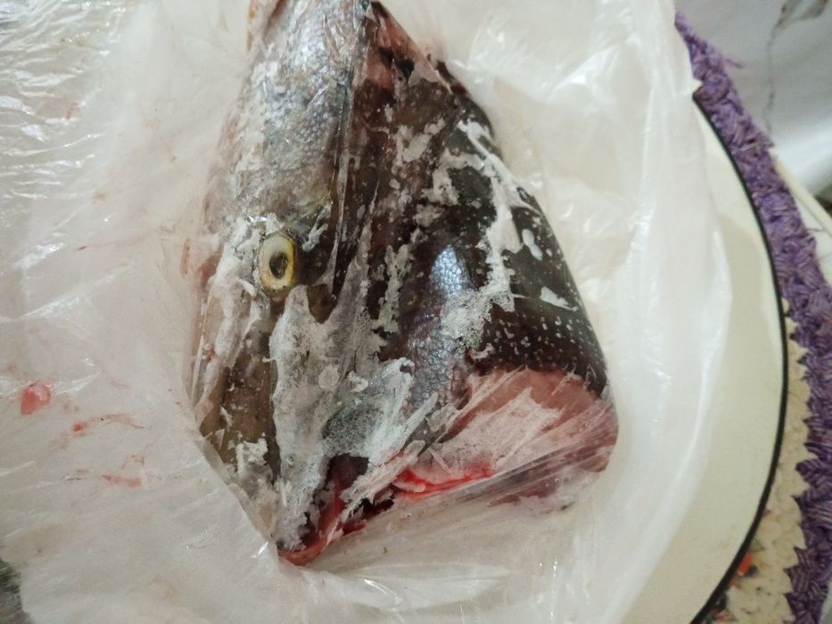 Отдам бесплатно.