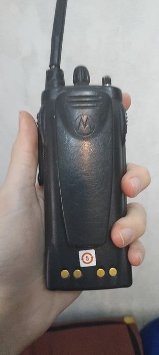 Рабочии срочно продам