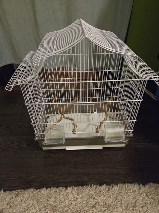 Colivie pentru păsări