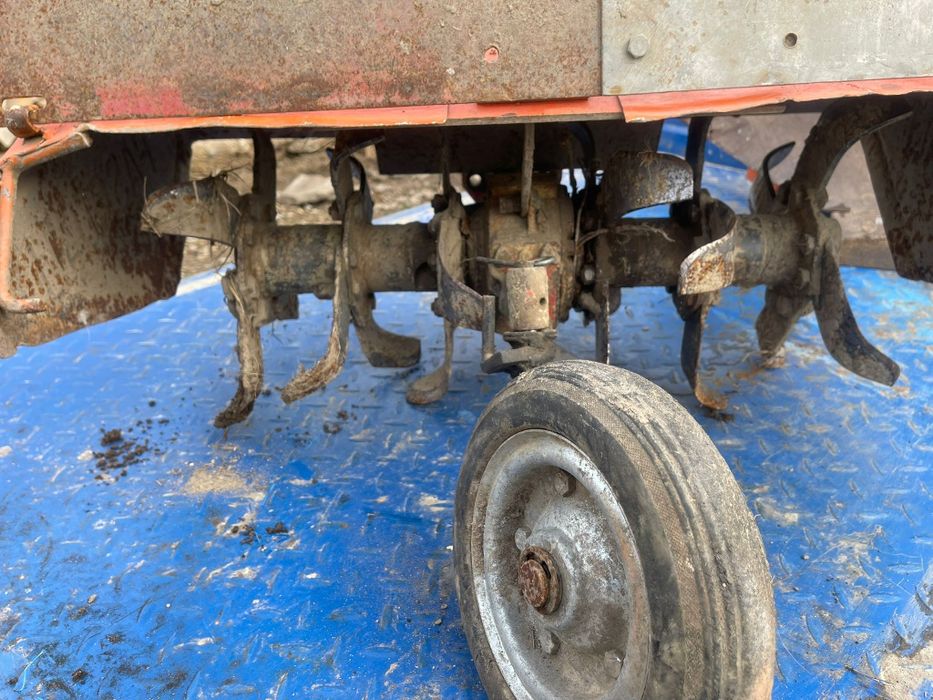 Freză Pasquali  400 euro negociabil