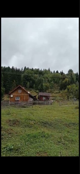 Oportunitate Unică: Domeniu Montan de 2.4 Hectare cu Casă – Ideal Turism, camping sau Rezidență